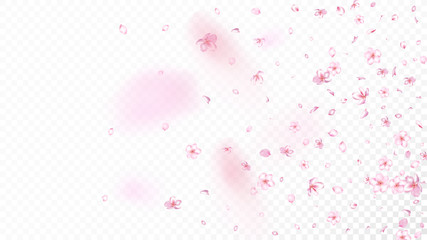 Fototapeta na wymiar Nice Sakura Blossom Isolated Vector. Summer Flying 3d Petals Wedding Frame. Japanese Blurred Flowers Illustration. Valentine, Mother's Day Realistic Nice Sakura Blossom Isolated on White