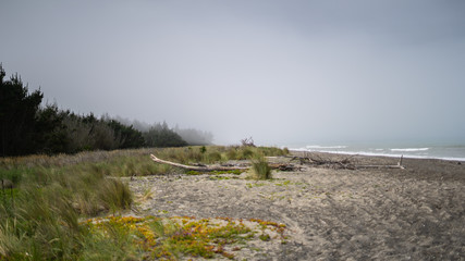 great beach on the east coast of New Zealand, New Zealand ocean beach, amazing natura of New Zealand, foggy weather in on the South Island of New Zealand