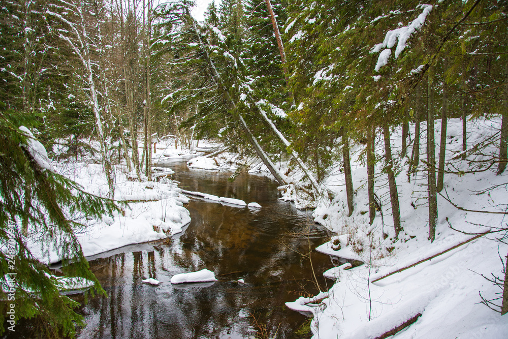 Wall mural Snowy forest and river