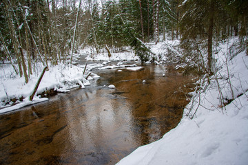 Snowy forest and river
