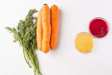 Testing raw vegetables for E.coli Escherichia and Staphylococcus