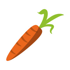 carrot fresh vegetable cartoon
