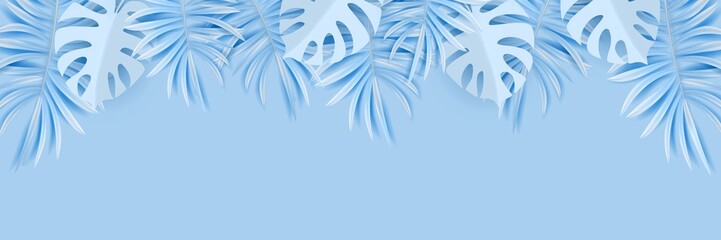 Vector tropical horizontal banner with silvery palm leaves on light blue backdrop. Exotic hawaiian jungle winter design, wintertime background. Pastel minimal style
