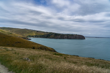Naklejka premium Taylors mistake walkway, Christchurch, Canterbury, New Zealand, Tourists walking on Godley Head walkway, beautiful nature of New Zealand, nature wallpaper image