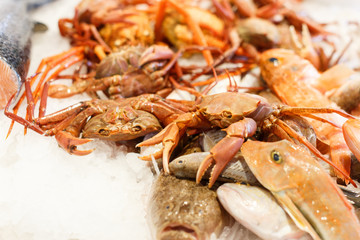 Display with crustaceans in shop