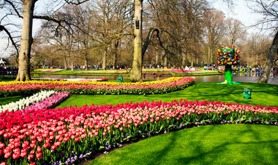 Obraz premium Keukenhof, the Netherlands, April 14, 2018. Beautiful spring flowers: red tulips, yellow daffodils, delicate hyacinths in the famous Keukenhof park in the Netherlands in early spring on a sunny day. 