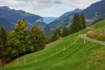 Mountain view with green meadows on the mountainsides near Wengen village in Switzerland.