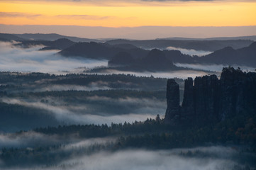 Nebliger Morgen im Nationalpark Sächsische Schweiz