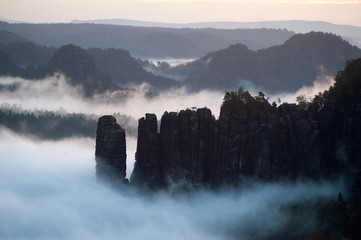 Morgennebel in der Sächsischen Schweiz