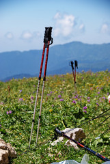 Trekking poles on a flower meadow in the mountains. Equipment for tourism. Trekking in the...