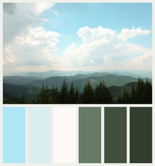 Beautiful mountain landscape with fir forest. Color palette