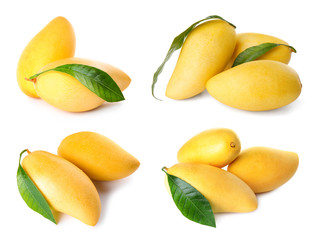 Set of delicious ripe mangoes on white background