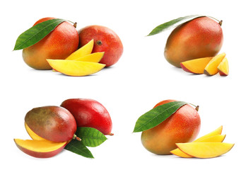 Set of delicious ripe mangoes on white background