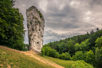 Limestone rock "Hercules Mace" in Pieskowa Skala in Ojcowski National Park, Malopolskie, Poland