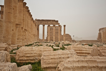 Ruins of ancient Palmyra, colonnade, Syria before the war.