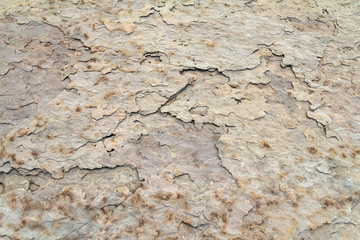 abstract rock surface detail