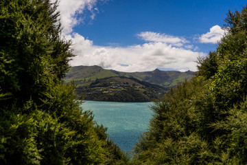Naklejka na ściany i meble view from the onawe track in New Zealand, amazing ocean bay in akaroa New Zealand, onawe walkway with beautiful nature and blue water, great New Zealand nature photography, nature background