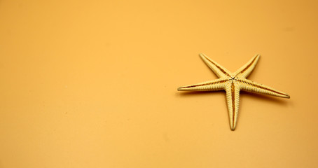 Jellyfish on a yellow background