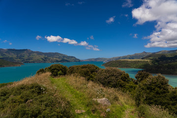 Naklejka premium view from the onawe track in New Zealand, amazing ocean bay in akaroa New Zealand, onawe walkway with beautiful nature and blue water, great New Zealand nature photography, nature background