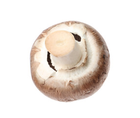 Fresh champignon mushroom isolated on white. Healthy food
