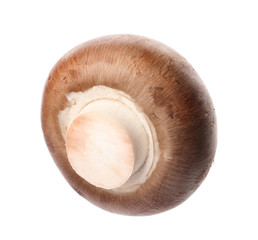 Fresh champignon mushroom isolated on white. Healthy food
