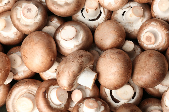 Fresh champignon mushrooms as background, top view