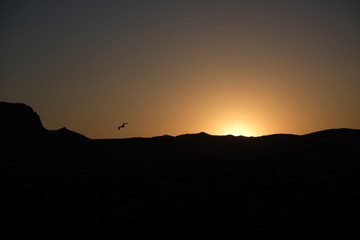 the contours of the mountains against the setting sun and a bird in the sky