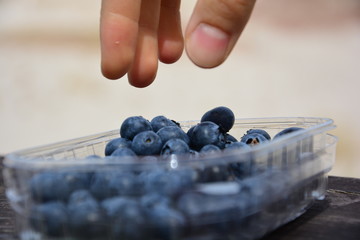 Woman's hand reaching for healthy blueberries or bilberries from a bowl