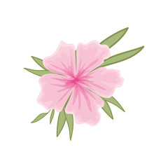 beautiful flower with leafs isolated icon
