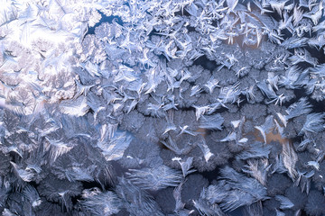 Frozen pattern on the glass in blue