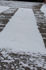 Snowy Driveway