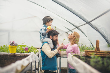 child and parents. child and parents in greenhouse. happy child and parents work in home farm. child and parents concept