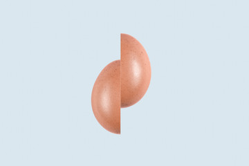 two halves of a creative, abstract egg, on a light background