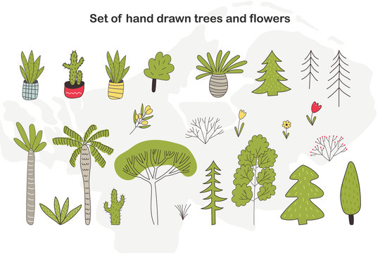 Set of hand drawn cartoon trees, cacti and plants. Vector floral illustration