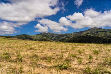 view from the onawe track in New Zealand, amazing ocean bay in akaroa New Zealand, onawe walkway with beautiful nature and blue water, great New Zealand nature photography, nature background