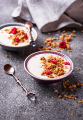 Granola with yogurt and dried raspberries