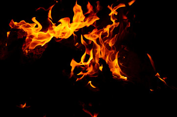 Flame of fire on a black background