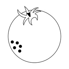 orange fresh fruit cartoon black and white