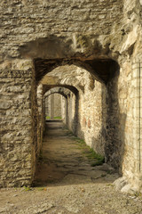 Fototapeta na wymiar Ancient ruined St. Brigitta convent in Pirita region, Tallinn, Estonia
