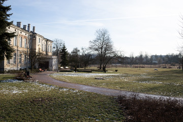 Scieżka w parku mieskim podczas roztopów  © Seance_Photo_Sylwia