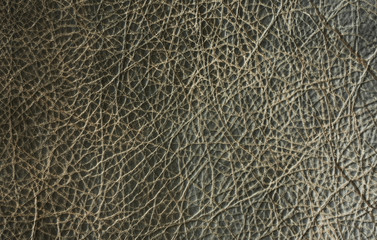 texture of leather