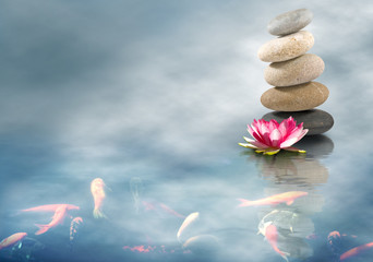 fish in the pond,stones and lotus flower