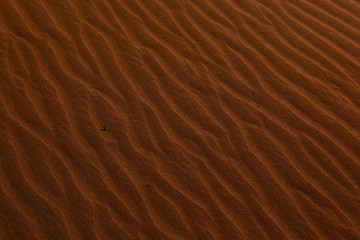 Marokko, M`Hamid, Erg Chegaga / Erg M`Hazil, Sahara