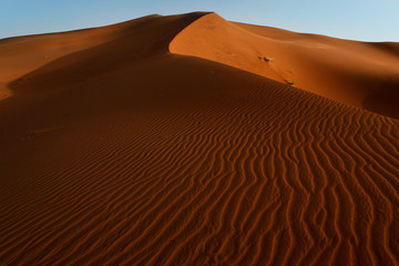 Fototapeta na wymiar Marokko, M`Hamid, Erg Chegaga / Erg M`Hazil, Sahara