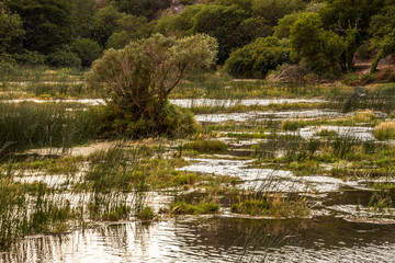 Parco Naturale di Krka (Croazia)