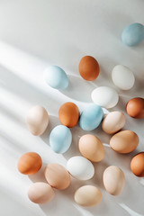 Natural Colored Eggs with sunlights. Compositions in pastel colors. Easter consept.  Flat lay, top view