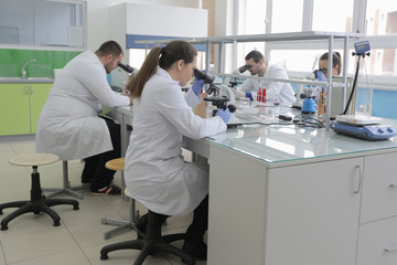 Obraz premium Group of young Laboratory scientists working at lab with test tubes and microscope, test or research in clinical laboratory.Science, chemistry, biology, medicine and people concept.