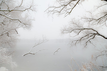 the trees in snow nearby the frozen lake