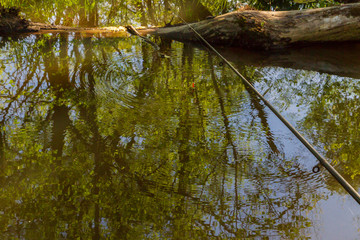 Fishing rod with a float while fishing in the forest river