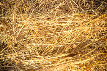 hay background, hay wallpaper, hay background macro